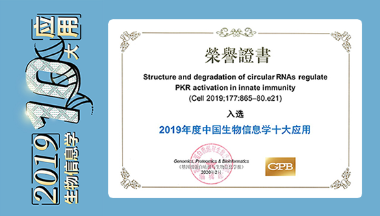 楊力研究組合作研究“環(huán)形RNA在天然免疫中的重要功能”入選2019年度“中國生物信息學十大應用”